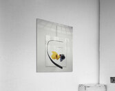 Alexander Calder 31 Acrylic Print
