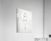 Alexander Calder 41 Acrylic Print