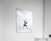 Alexander Calder 3 Acrylic Print