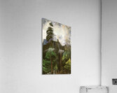 Emily Carr 3 Acrylic Print