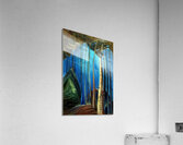 Emily Carr 6 Acrylic Print
