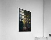 Emily Carr 17 Acrylic Print