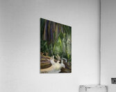 Emily Carr 31 Acrylic Print