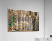 Emily Carr 32 Acrylic Print