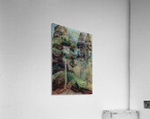 Emily Carr 38 Acrylic Print