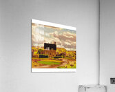 Emily Carr 39 Acrylic Print