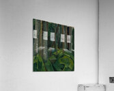 Emily Carr 50 Acrylic Print