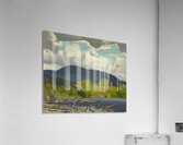 Emily Carr 55 Acrylic Print