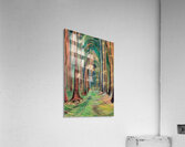 Emily Carr 58 Acrylic Print