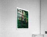 Emily Carr 61 Acrylic Print