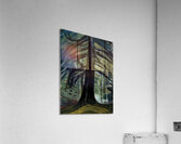 Emily Carr 62 Acrylic Print