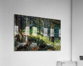 Emily Carr 14 Acrylic Print