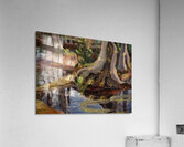 Emily Carr 15 Acrylic Print