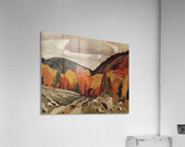 Emily Carr 19 Acrylic Print