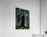 Emily Carr 22 Acrylic Print