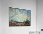 Emily Carr 25 Acrylic Print