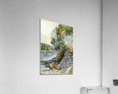 Emily Carr 30 Acrylic Print