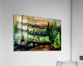 Emily Carr 36 Acrylic Print