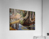 Emily Carr 39 Acrylic Print