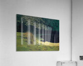 Félix Thiollier 1 Acrylic Print