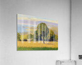 Félix Thiollier 2 Acrylic Print