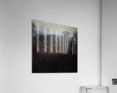 Félix Thiollier 5 Acrylic Print