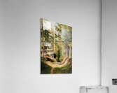 Félix Thiollier 6 Impression acrylique