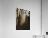 Félix Thiollier 9 Acrylic Print