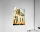 Félix Thiollier 28 Acrylic Print