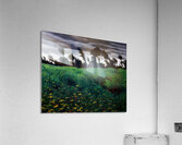 Félix Thiollier 32 Acrylic Print