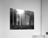 Félix Thiollier 40 Acrylic Print