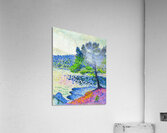 Henri Edmond Cross 24 Acrylic Print