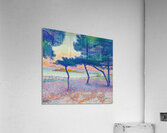 Henri Edmond Cross 32 Acrylic Print