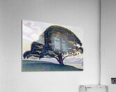 Henri Edmond Cross 33 Acrylic Print