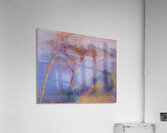 Henri Edmond Cross 25 Acrylic Print