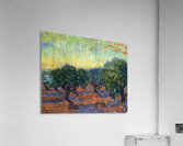 Vincent van Gogh 1 Acrylic Print