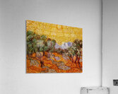 Vincent van Gogh 6 Acrylic Print