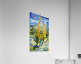 Vincent van Gogh 9 Acrylic Print