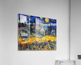 Vincent van Gogh 11 Acrylic Print