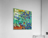 Vincent van Gogh 17 Acrylic Print