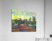 Vincent van Gogh 19 Acrylic Print