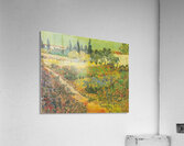 Vincent van Gogh 24 Acrylic Print