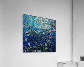 Vincent van Gogh 25 Acrylic Print