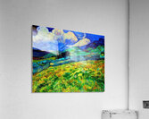 Vincent van Gogh 26 Acrylic Print