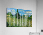 Vincent van Gogh 27 Acrylic Print