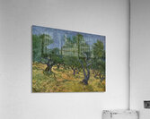 Vincent van Gogh 29 Acrylic Print