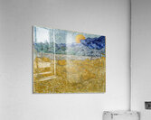 Vincent van Gogh 30 Acrylic Print