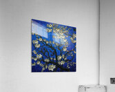 Vincent van Gogh 37 Acrylic Print