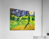 Vincent van Gogh 44 Acrylic Print