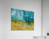 Vincent van Gogh 45 Acrylic Print